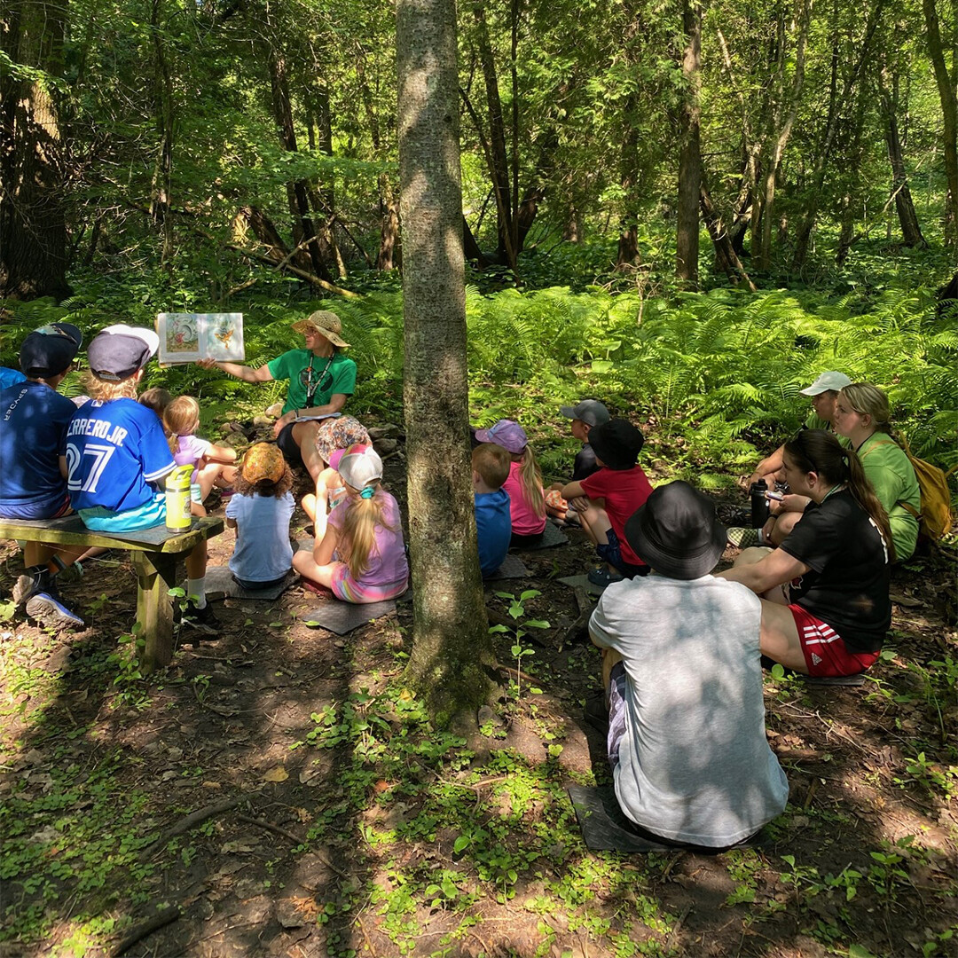 Acorn camp kids story time in woods
