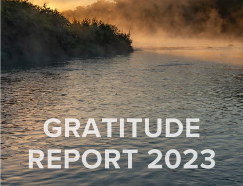 Gratitude Report 2023