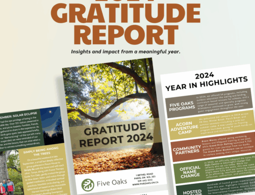 Gratitude Report 2024